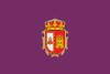 Bandera de la provincia Burgos